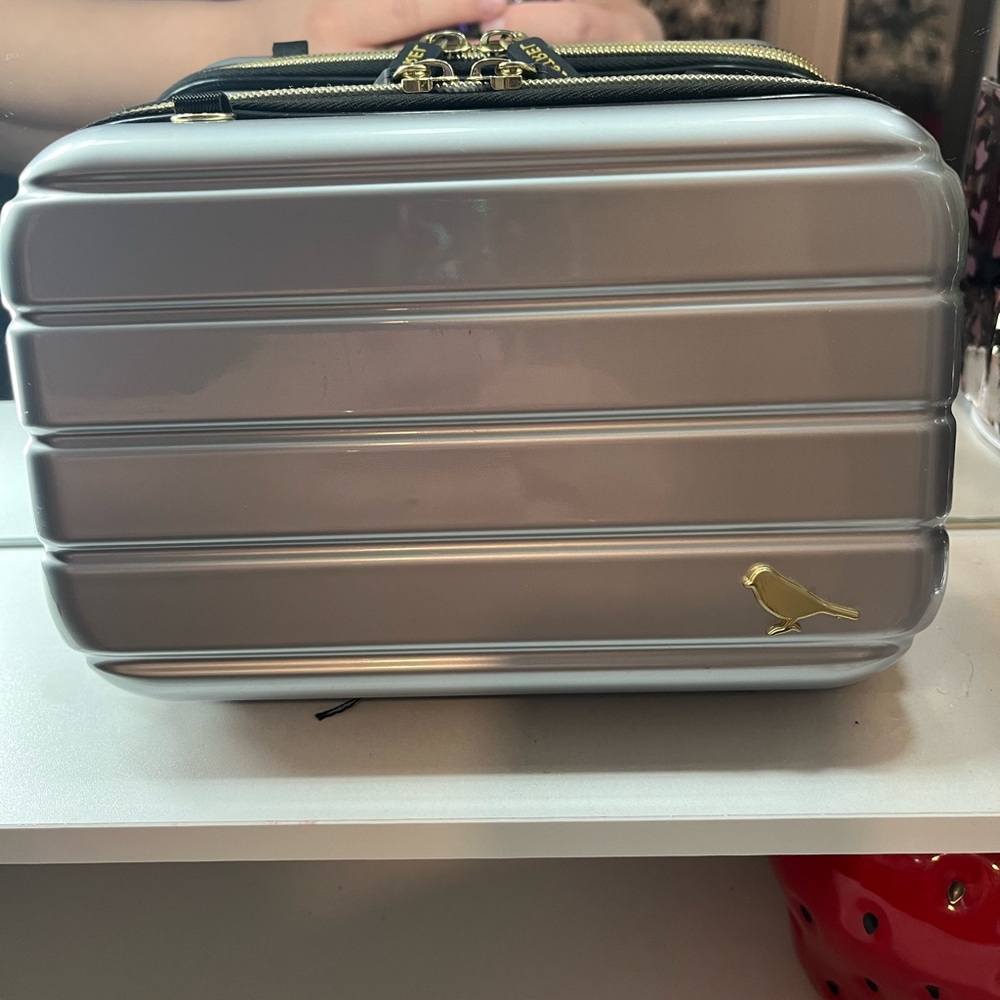 Makeup carrying case